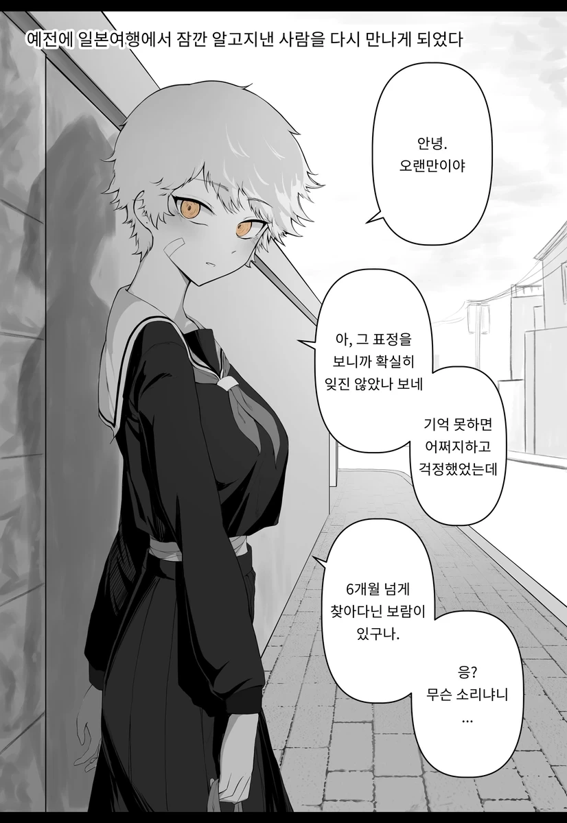 예전에 일본여행에서 알고지낸 사람을 다시 만나게 되었다 .manwha