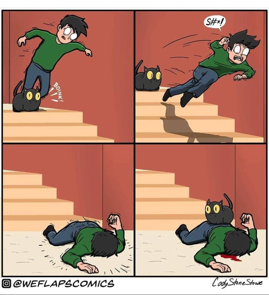쉴 곳을 만드는 고양이 만화.manhwa