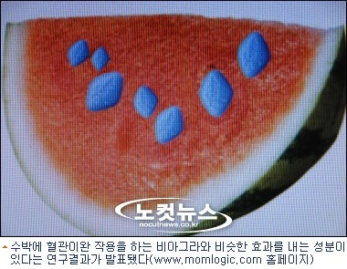 사촌누나랑 수박 먹는 만화 - 이미지 5