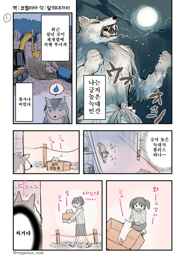 늑대인간 만화.manhwa