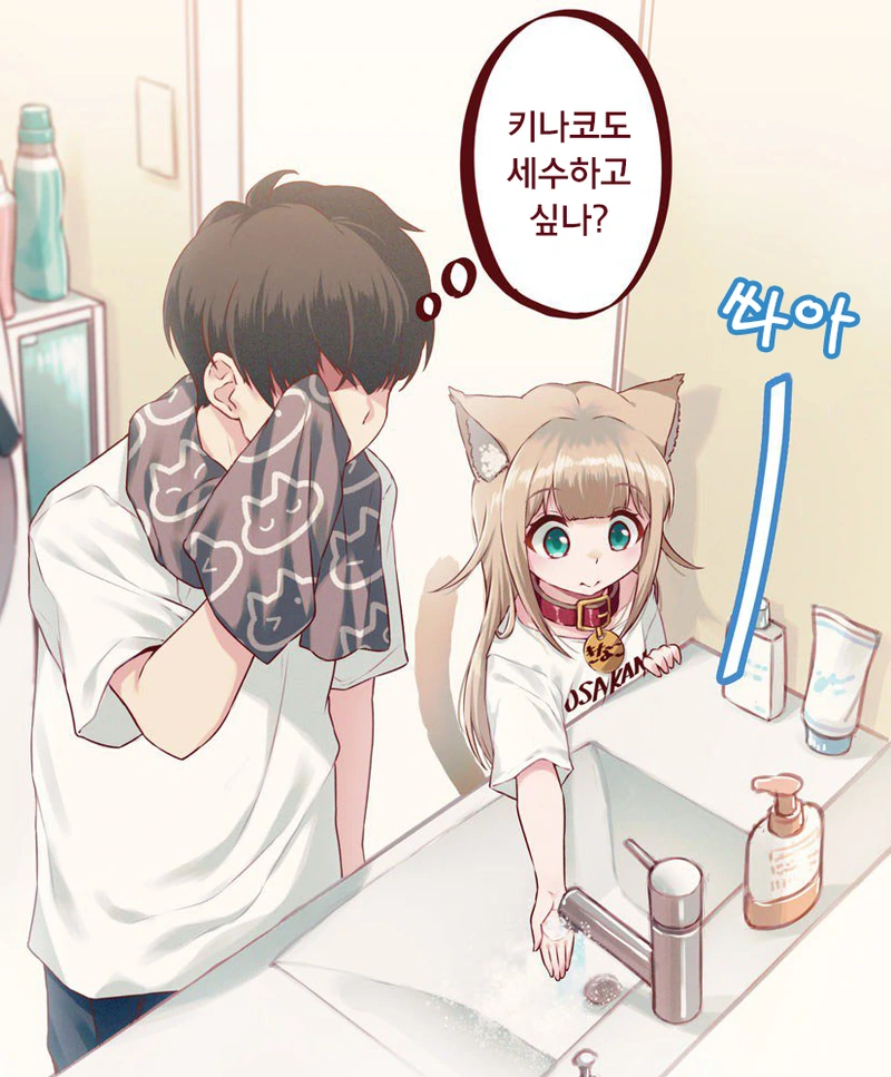 고양이 키우는 만화 - 이미지 5