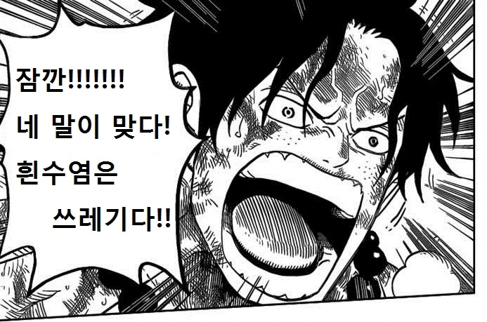 원피스)에이스가 쓰레기인 만화 - 이미지 6