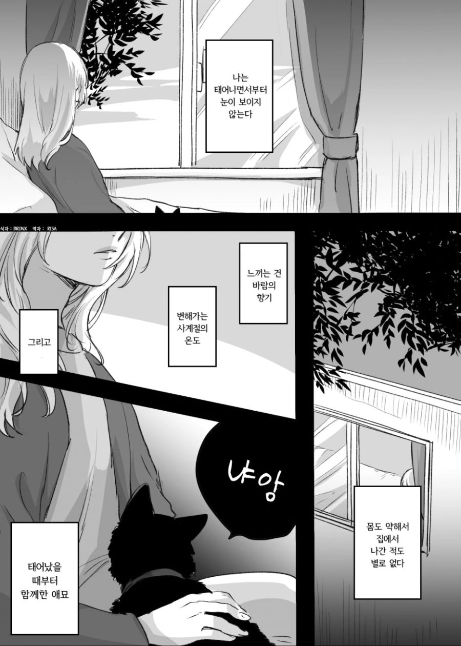 눈이 안보이는 소녀와 그녀의 고양2.Manga