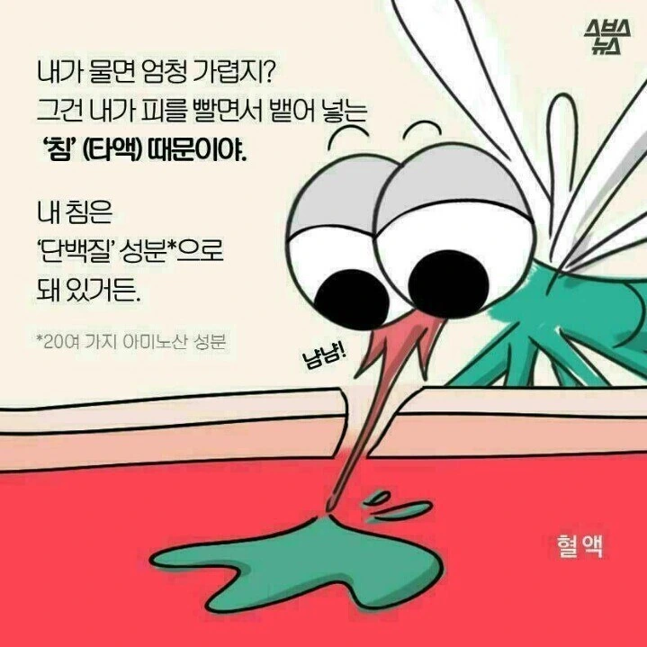 모기에 대한 오해를 푸는 만화 - 이미지 2