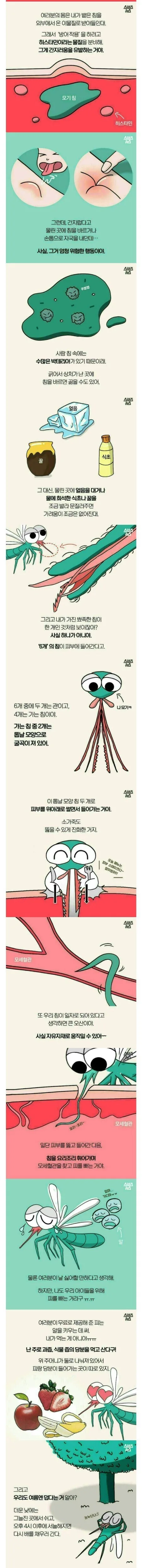 모기에 대한 오해를 푸는 만화 - 이미지 3