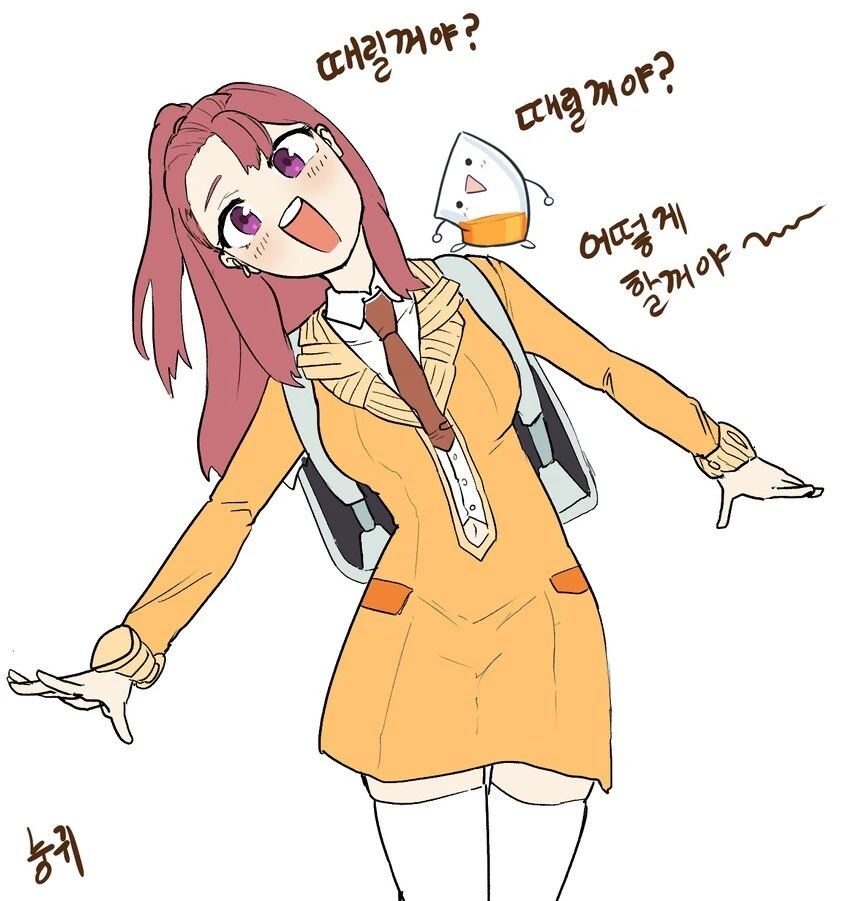(라오)새콤한 텐션 100% 오렌지 에에드