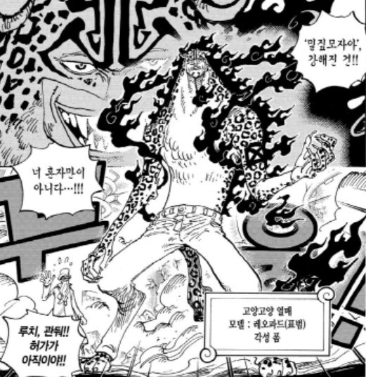 [원피스]자기도 강해졌다는 로브 루치