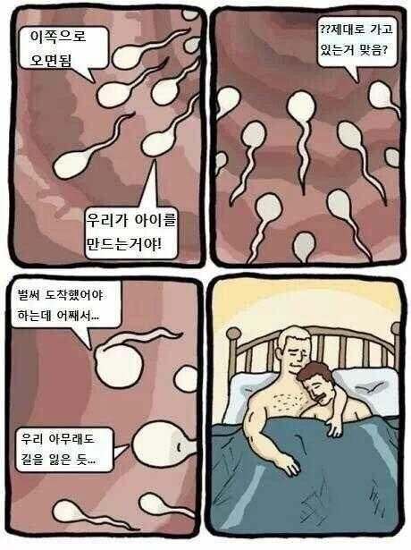 [ㅎㅂㅈㅇ!]정자가 길찾는 만화