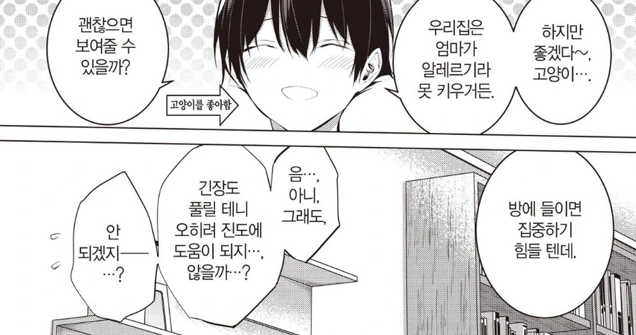 키우는 고양이 보여주는