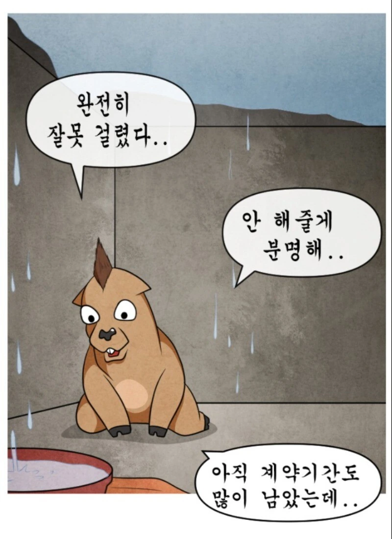 부동산 계약 꼼꼼히 안해서 일어난 참사.manhwa - 이미지 11