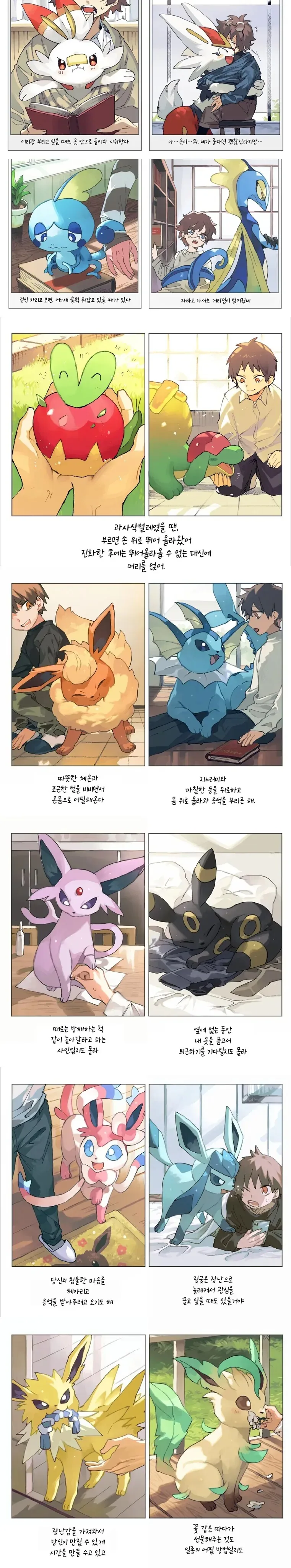 포켓몬 진화 전후 힐링 만화.manga - 이미지 5