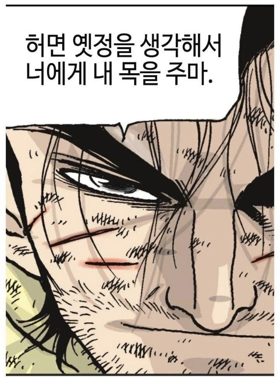 그 시절 패왕뽕 MAX 채워주던 만화 - 이미지 5