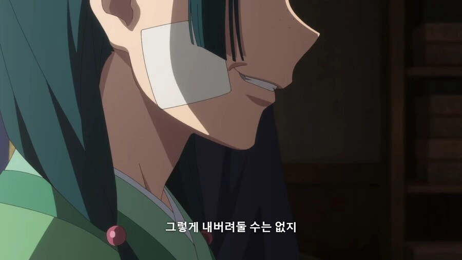 약사의혼잣말) 미친여자 마오마오 - 이미지 5