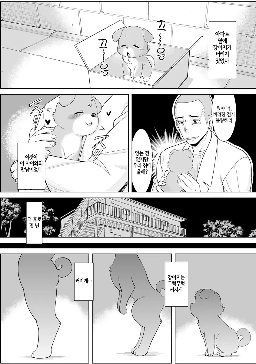 강아지 줏어오는 만화