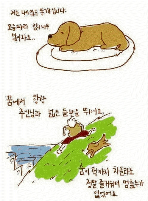 개가 늙어서 죽을 때... - 이미지 2
