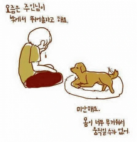 개가 늙어서 죽을 때... - 이미지 3