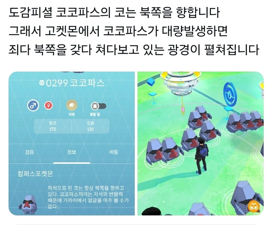 포켓몬 디자인에 숨겨진 디테일.manwha - 이미지 8