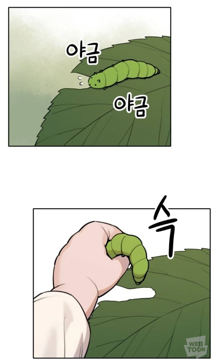 호랑이 들어와요) 까마귀가 갓마귀인 이유