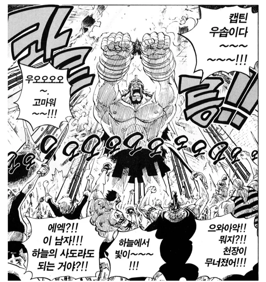 원피스) 의외로 진지하게 패왕색 가능성이 점쳐지고 있는 놈.jpg - 이미지 2