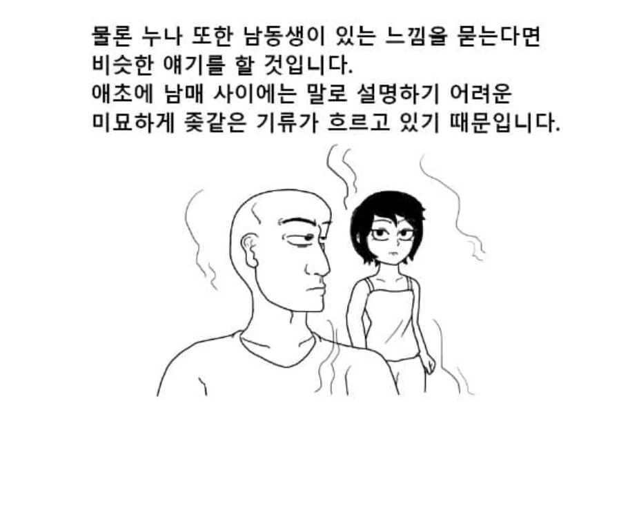 누나 있었음 좋겠다는 사람들 이해가 안 되네.manhwa - 이미지 10