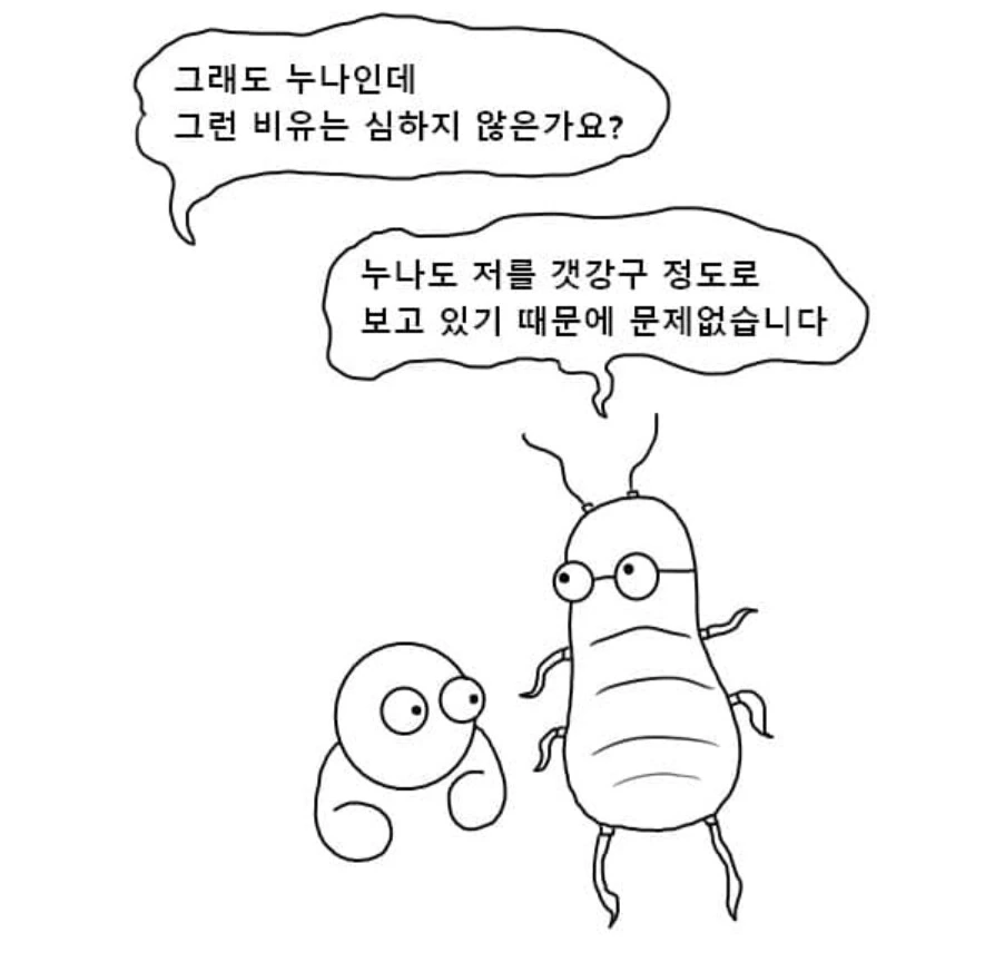 누나 있었음 좋겠다는 사람들 이해가 안 되네.manhwa - 이미지 14
