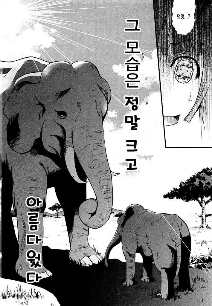 하늘을 달리는 여장남자.manwha - 이미지 16