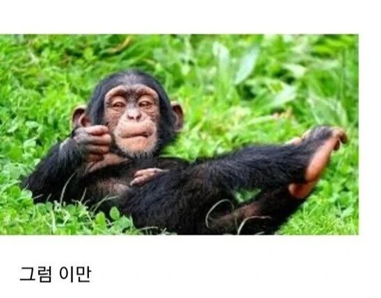 선배랑 아이스바 나눠먹는 만화 - 이미지 5