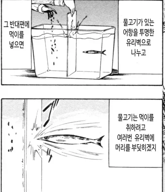 투명 유리벽 증후군.jpg