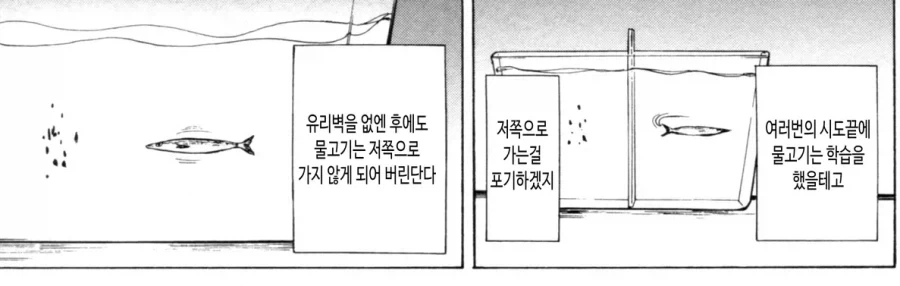 투명 유리벽 증후군.jpg - 이미지 2