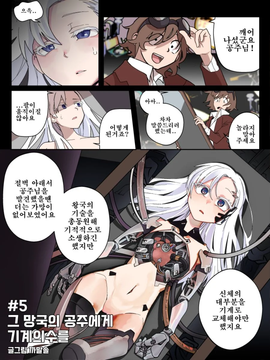 ㅎㅂ)공주가 ㅇㅁ으로 치료받는 만화.manga