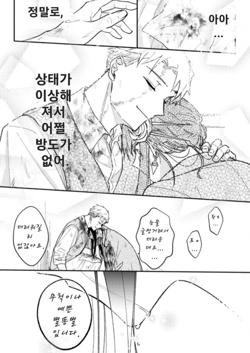 스파이패밀리)로이요르-스텔라에 비는 소원 - 이미지 17