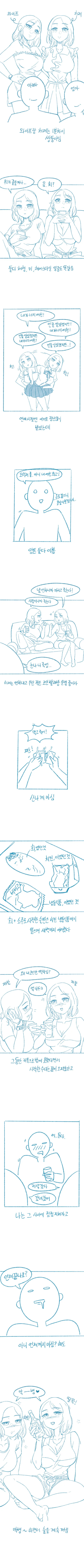 와이프가 쌍둥이인 만화