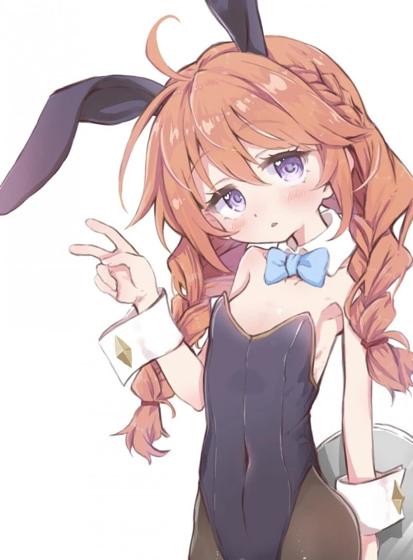 ㅎㅂ) 모닝글로리