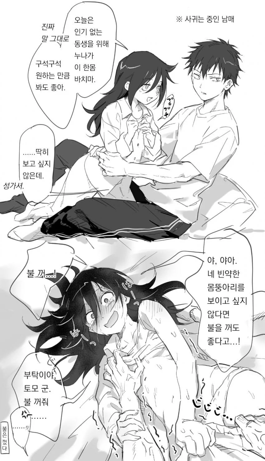 동생한테 불꺼달라고 하는 만화.jpg