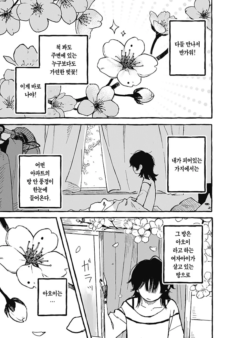 아오이의 방에 다시금 봄이 찾아왔다 만화 .manhwa