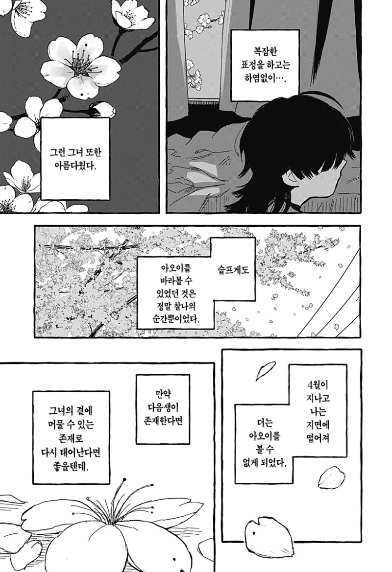 아오이의 방에 다시금 봄이 찾아왔다 만화 .manhwa - 이미지 5