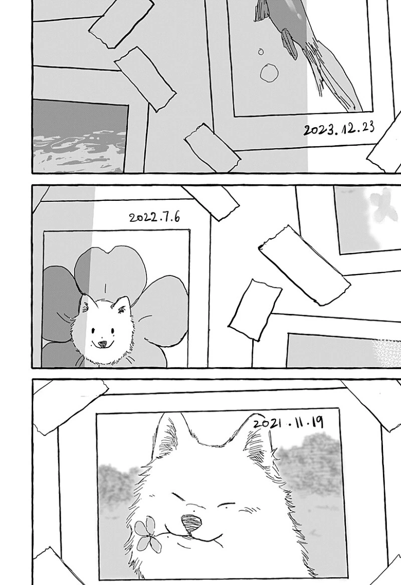 아오이의 방에 다시금 봄이 찾아왔다 만화 .manhwa - 이미지 48