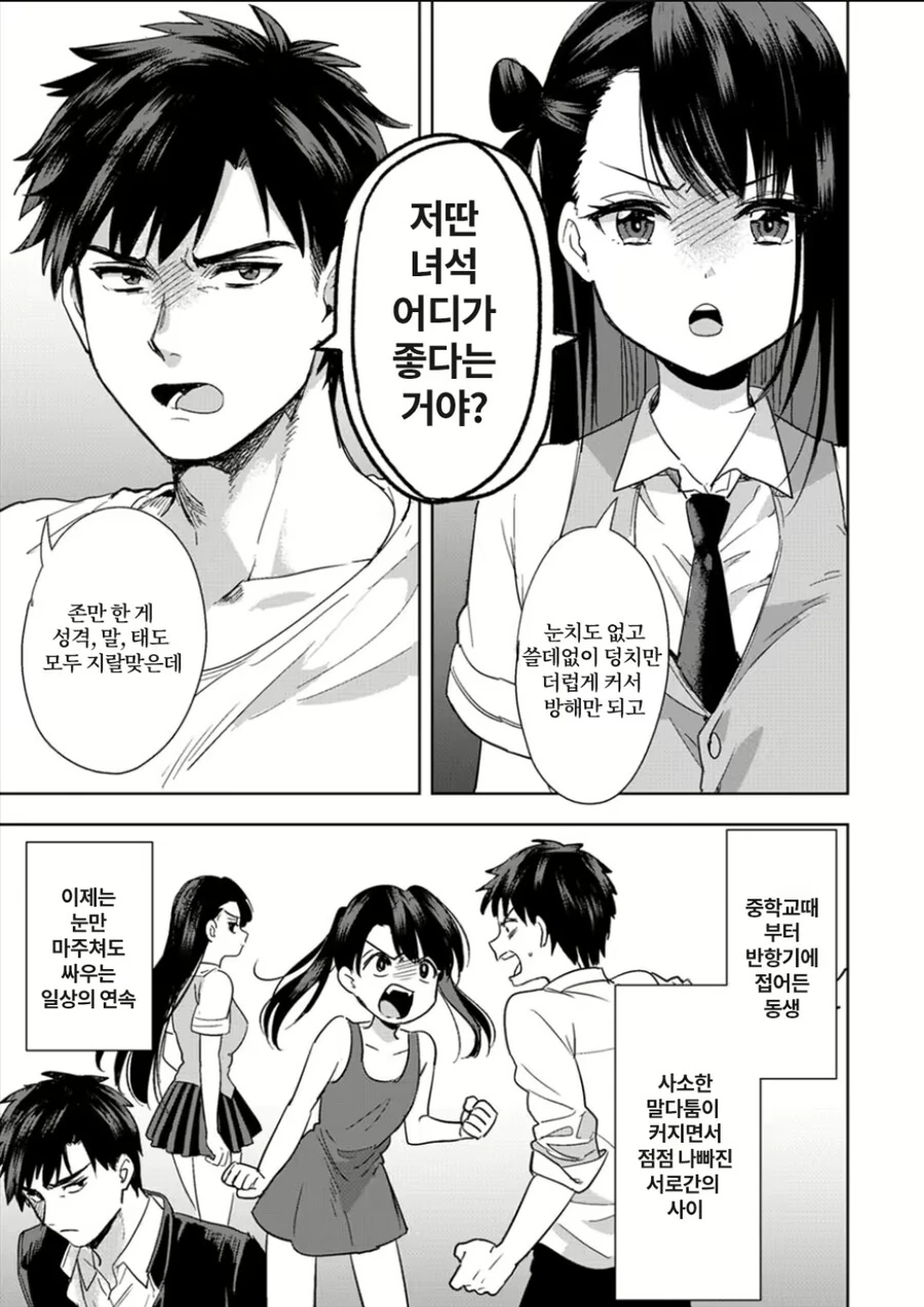 평범한 사이나쁜 남매 만화 - 이미지 3