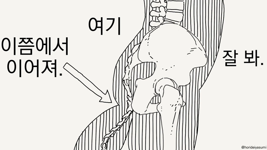 꼬리보여주는 만화 - 이미지 4