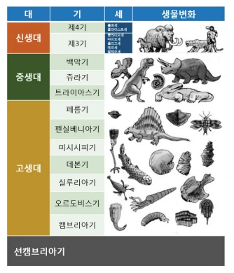 혐)화석은 성경을 증명한다.manhwa - 이미지 3