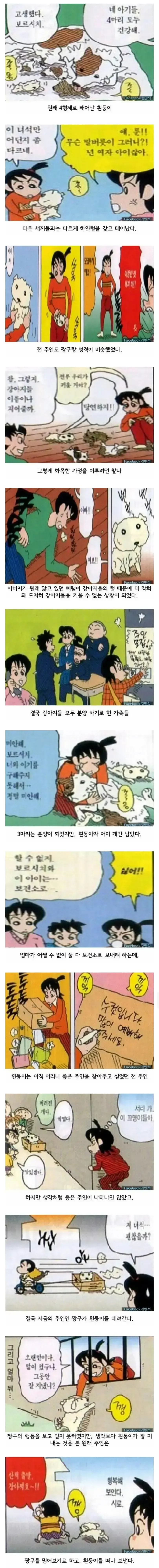 강아지 유기하는 만화.MANHWA