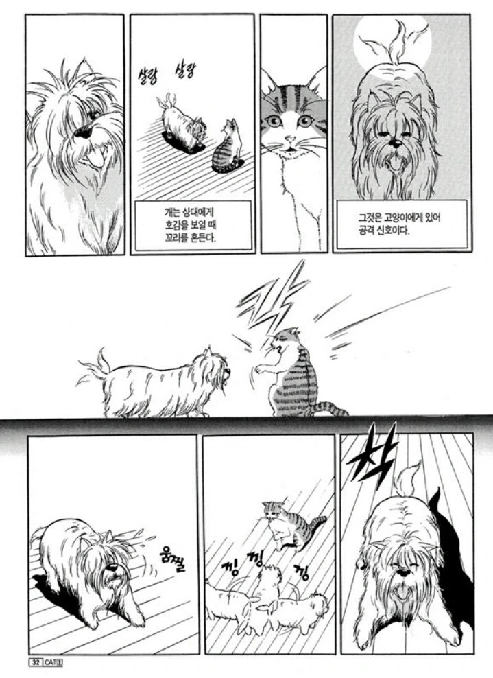 개와 고양이 만화 - 이미지 2