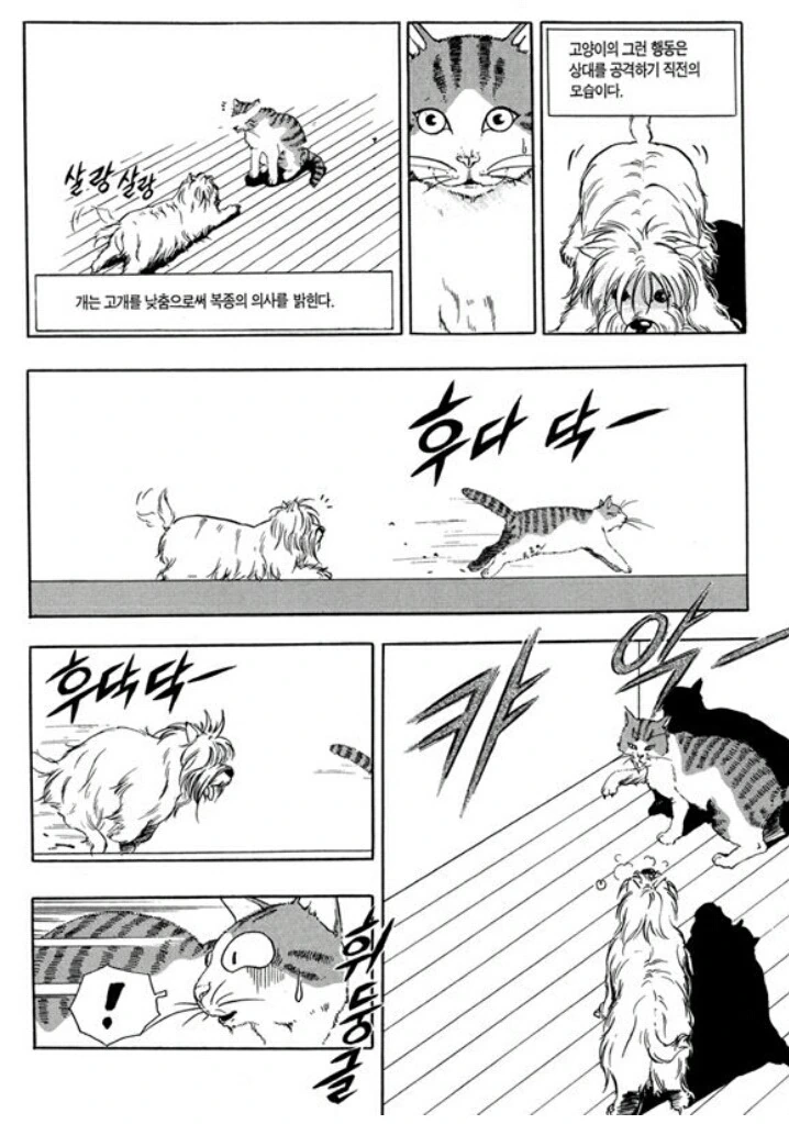 개와 고양이 만화 - 이미지 3