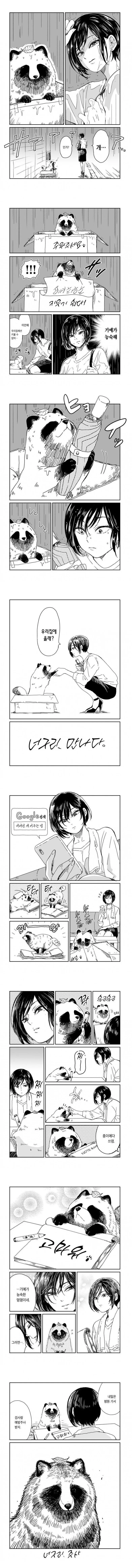 비오는 날 개 주운 누나 manga