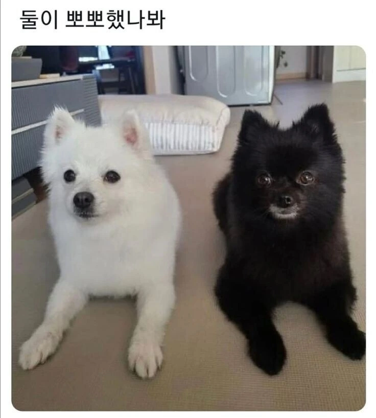 "둘이 했나 봐...".jpg