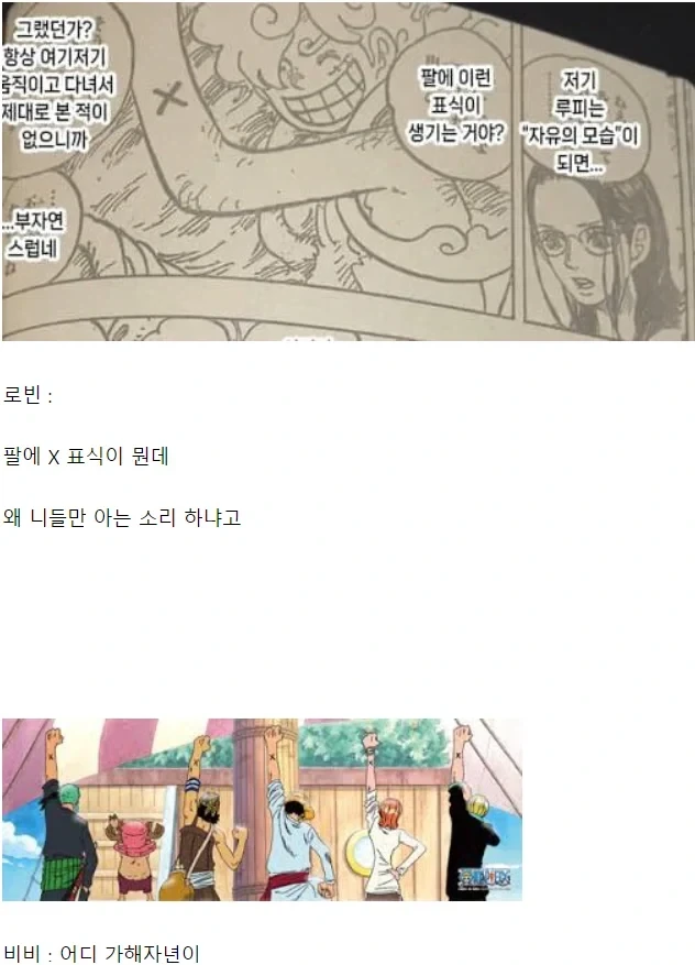 원피스)가해자만 모르는 사실