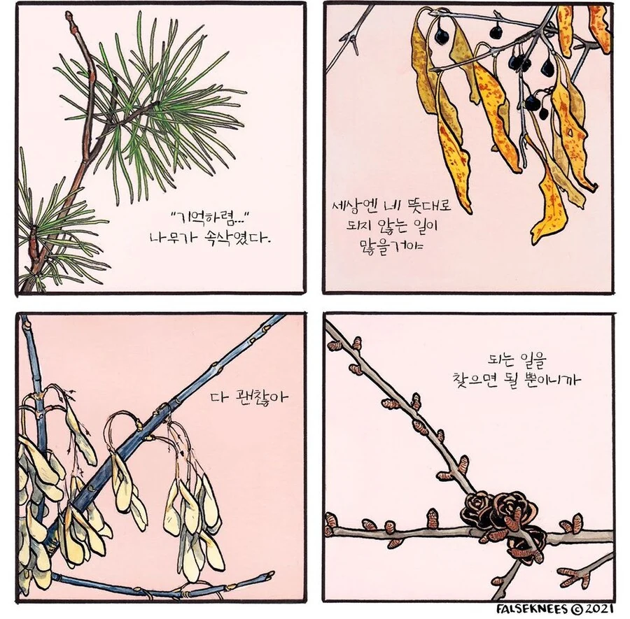 만화) 심오한 새 만화 묶음 - 이미지 18