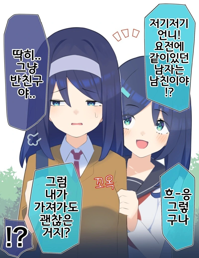 언니의 남친 형부 만화