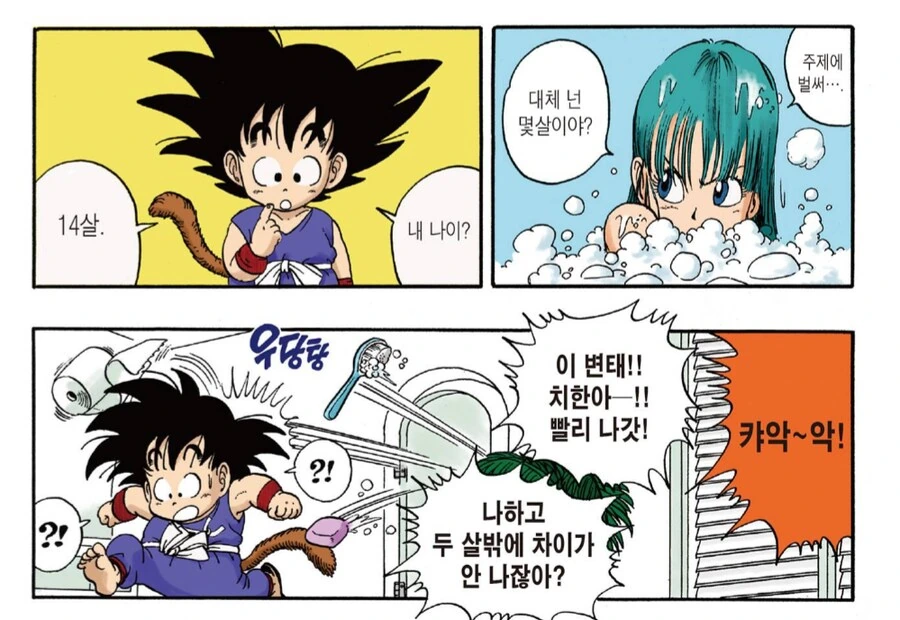 손오공이 부르마를 만났을 때 14살 아님