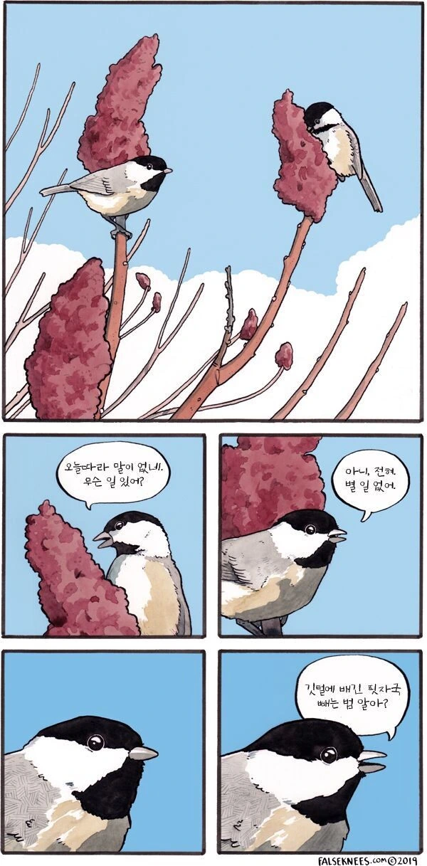 새 만화 - 이미지 15